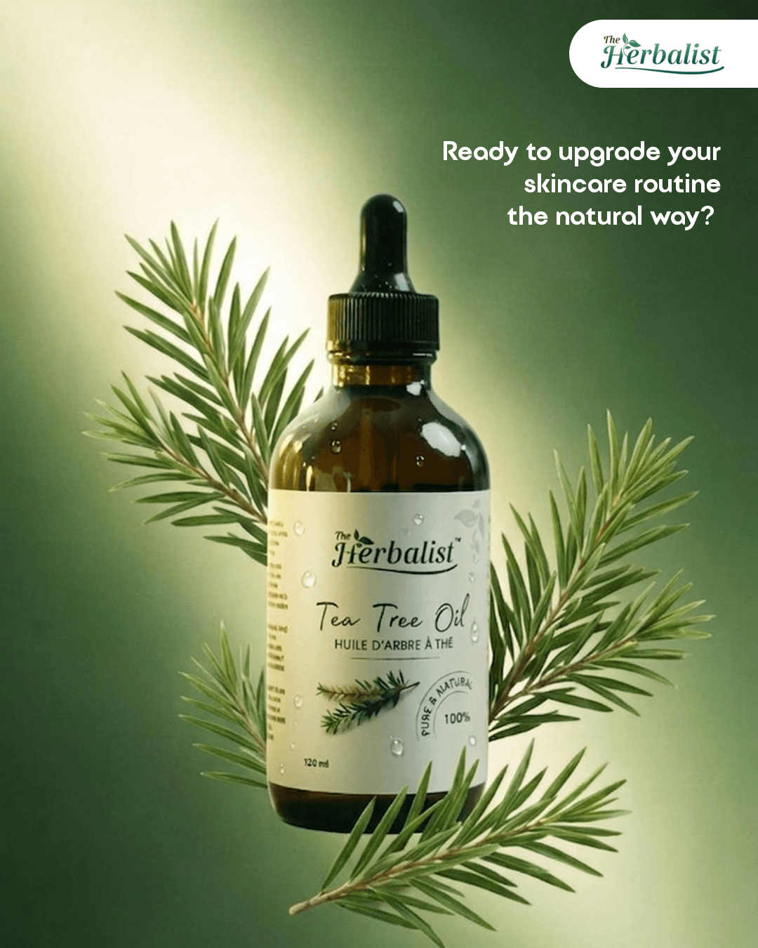 Herbalist image 3